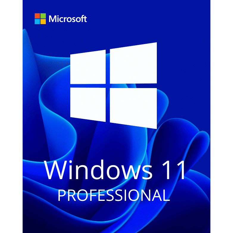 Microsoft Windows 11 Professional